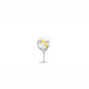 Cálice de Gin & Tonic Special Glasses 63cl